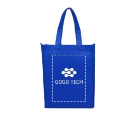 Non Woven Bags (25.4 x 33 x 7.6 cm)