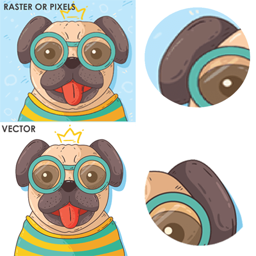 Vector and Raster picture