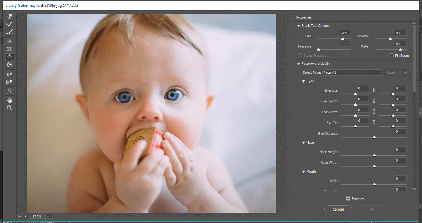 Editing Your Face with Liquify